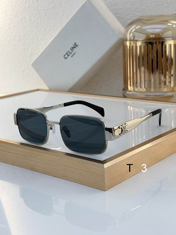 Celine Sunglasses ID:20240804-18